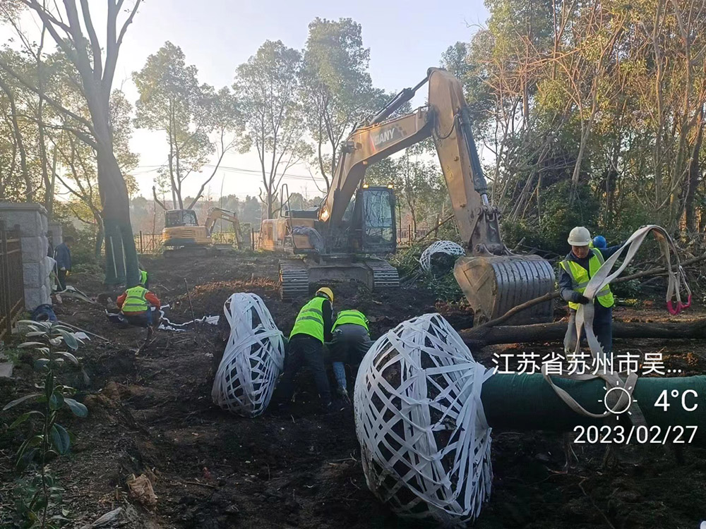 苏州绿化养护谈谈花卉摆放的特点与建议